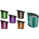 Swede Senze Ecstatic - Massage-Kerze Jasmin & Ylang Ylang 50ml