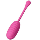 Catalina - App-gesteuertes Vibro-Ei