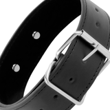 Posture Collar mit Kette (veganes Leder)
